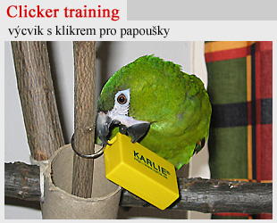 Clicker training s papouky